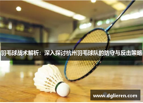 羽毛球战术解析:深入探讨杭州羽毛球队的防守与反击策略